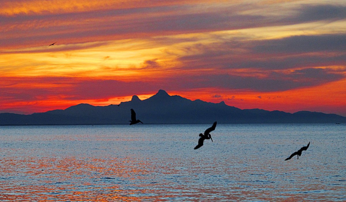 Locaciones para Bodas en la Isla de Margarita